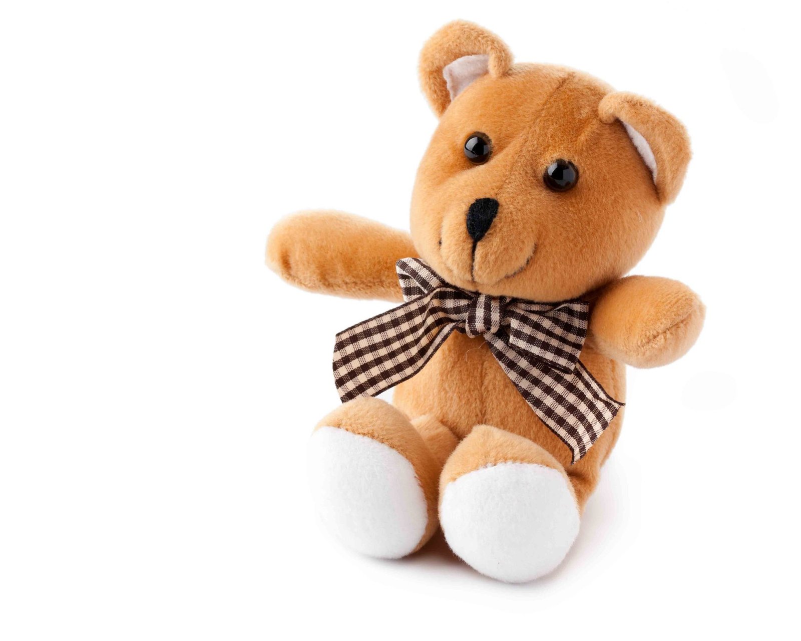 Learn How To Make Teddy Bear At Home